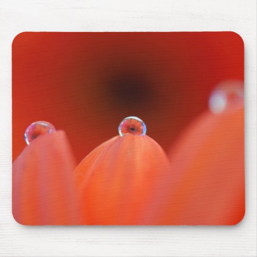 Oranje Gerbera Refraction Mousepad Muismat (Voorkant)