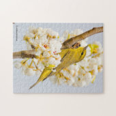 Oranje-Gesneden Warbler Amid de Cherry Blossom Legpuzzel (Horizontaal)