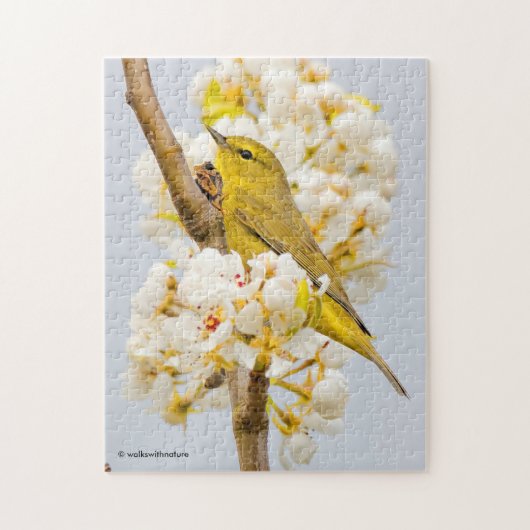 Oranje-Gesneden Warbler Amid de Cherry Blossom Legpuzzel (Verticaal)