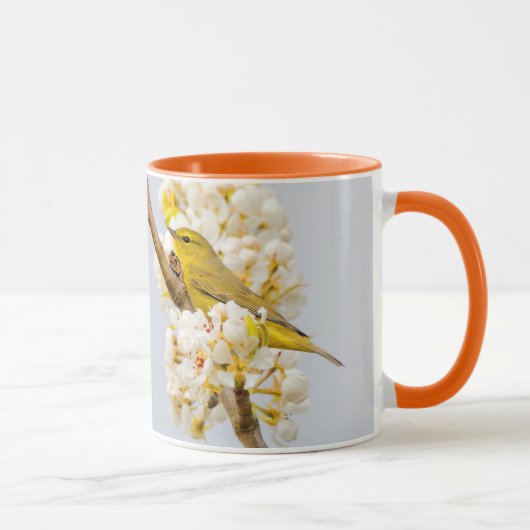 Oranje-Gesneden Warbler Amid de Cherry Blossom Mok (Rechts)
