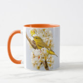 Oranje-Gesneden Warbler Amid de Cherry Blossom Mok (Links)
