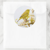 Oranje-Gesneden Warbler Amid de Cherry Blossom Ronde Sticker (Tas)