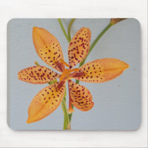 Oranje gespikkelde Iris, ook wel een Blackberry l Muismat