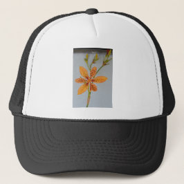 Oranje gespikkelde Iris, ook wel een Blackberry l Trucker Pet