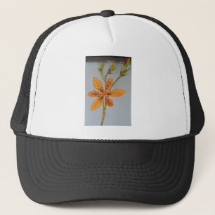 Oranje gespikkelde Iris, ook wel een Blackberry l Trucker Pet