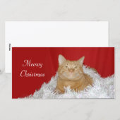 Oranje gestreepte katKerstmis Feestdagenkaart (Voorkant / Achterkant)