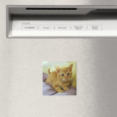 Oranje gestripte tablet Kitten Magnet (Insitu (Vaatwasser))