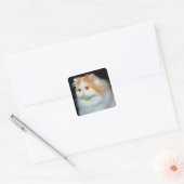 Oranje geverfd en kutkat vierkante sticker (Envelop)