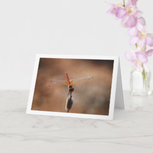 Oranje gevleugelde Dropwing Dragonfly Kaart