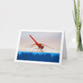 Oranje gevleugelde Dropwing Dragonfly Kaart (Voorkant)