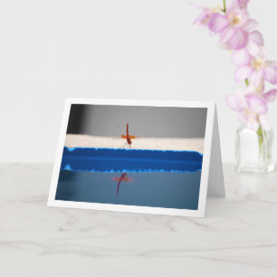 Oranje gevleugelde Dropwing Dragonfly Kaart