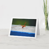 Oranje gevleugelde Dropwing Dragonfly Kaart (Voorkant)
