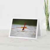 Oranje gevleugelde Dropwing Dragonfly Kaart (Voorkant)