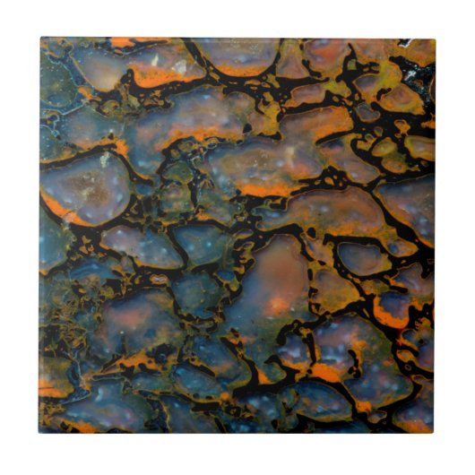 Oranje gezuiverd dinosaurusbot tegeltje (Voorkant)