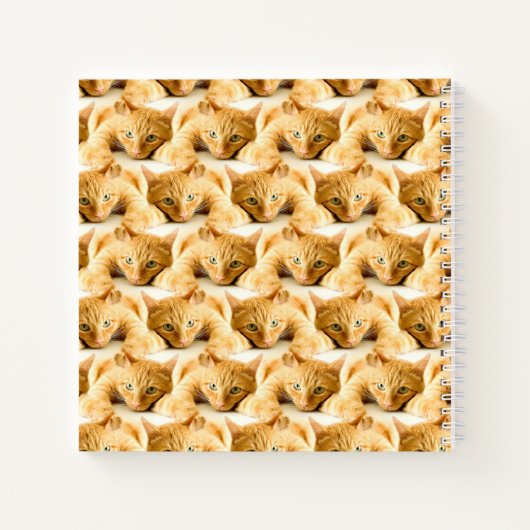 Oranje Ginger Cat Pattern Notitieboek (Achterkant)