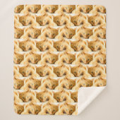 Oranje Ginger Cat Pattern Sherpa Deken (Voorkant)