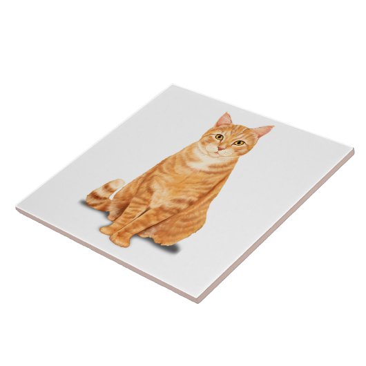 Oranje Ginger Tabby Tiger Cat Custom Tegeltje (Zijkant)