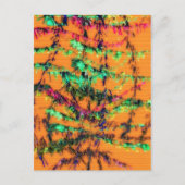 Oranje Glad Briefkaart (Voorkant)