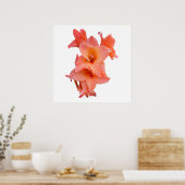 Oranje Gladiolus Floral Poster (Keuken)