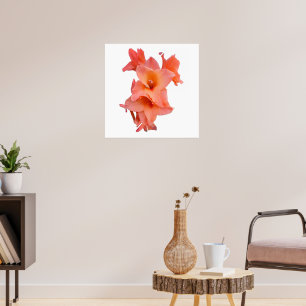 Oranje Gladiolus Floral Poster