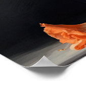 Oranje Gladiolus Flowers Art Print Poster (Hoek)