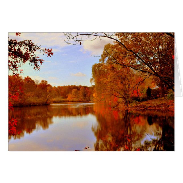 ORANJE GLOEIENDE HERFST (Voorkant Horizontaal)