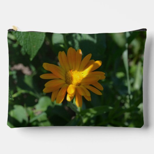 Oranje goudsbloem (Calendula officinalis) Etui (Voorkant)