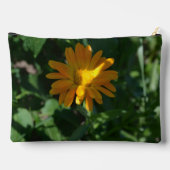 Oranje goudsbloem (Calendula officinalis) Etui (Achterkant)