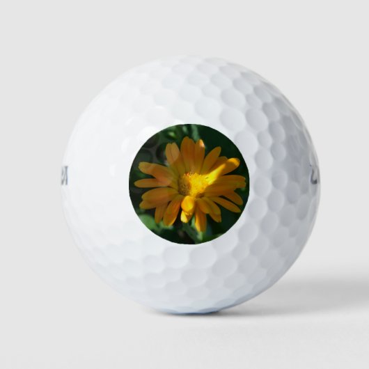 Oranje goudsbloem (Calendula officinalis) Golfballen (Voorkant)