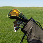 Oranje goudsbloem (Calendula officinalis) Golfheadcover (Insitu)