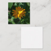 Oranje goudsbloem (Calendula officinalis) Notitiekaartje (Voorkant / Achterkant)