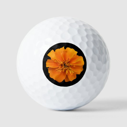 Oranje goudsbloem op zwarte achtergrond golfballen (Voorkant)