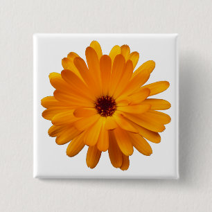 Oranje Goudsbloem Vierkante Button 5,1 Cm