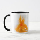 Oranje goudvis (Carassius auratus) 2 Mok (Links)