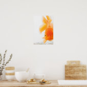 Oranje goudvis (Carassius auratus) Poster (Keuken)