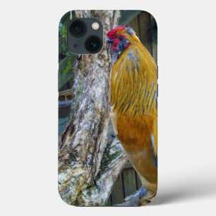 Oranje grijze fluffy-rooster, Case-Mate iPhone case