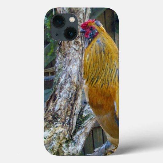 Oranje grijze fluffy-rooster, Case-Mate iPhone case (Achterkant)