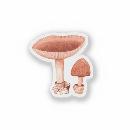 Oranje Grisette (Amanita crocea) Sticker (Voorkant)