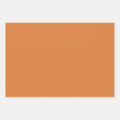  Oranje, groen en Daisy Pattern Inpakpapier Vel (Voorkant 3)