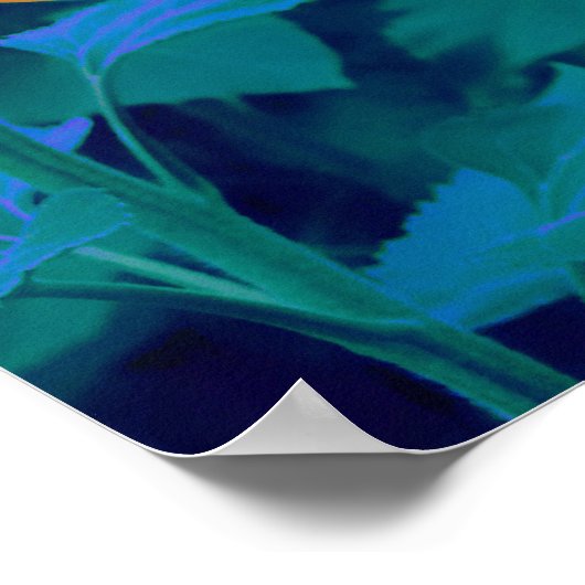 Oranje, groene en Paarse zomerbloemen Poster (Hoek)