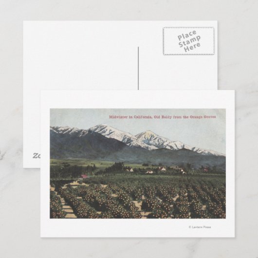 Oranje groeven met oude Baldy Mt op afstand Briefkaart (Voorkant / Achterkant)