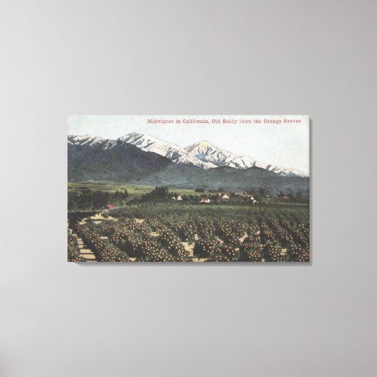 Oranje groeven met oude Baldy Mt op afstand Canvas Afdruk (Voorkant)