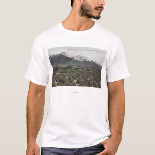 Oranje groeven met oude Baldy Mt op afstand T-shirt