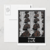 Oranje grove briefkaart (Voorkant / Achterkant)