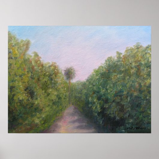 ORANJE GROVE IN CITRA, FLORIDA POSTER (Voorkant)