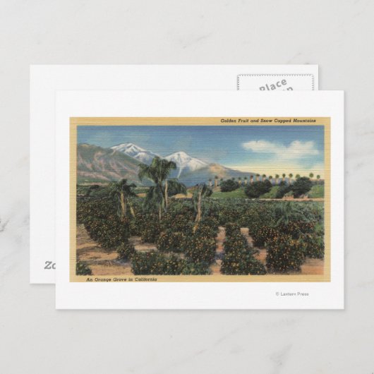 Oranje Grove Scène met Sneeuwklapte Mts Briefkaart (Voorkant / Achterkant)