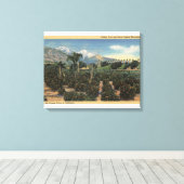 Oranje Grove Scène met Sneeuwklapte Mts Canvas Afdruk (Insitu (Houten vloer))
