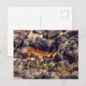 Oranje Guana Art Briefkaart (Voorkant / Achterkant)