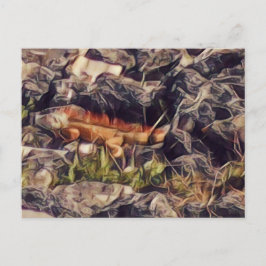 Oranje Guana Art Briefkaart