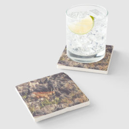 Oranje Guana Art Stenen Onderzetter